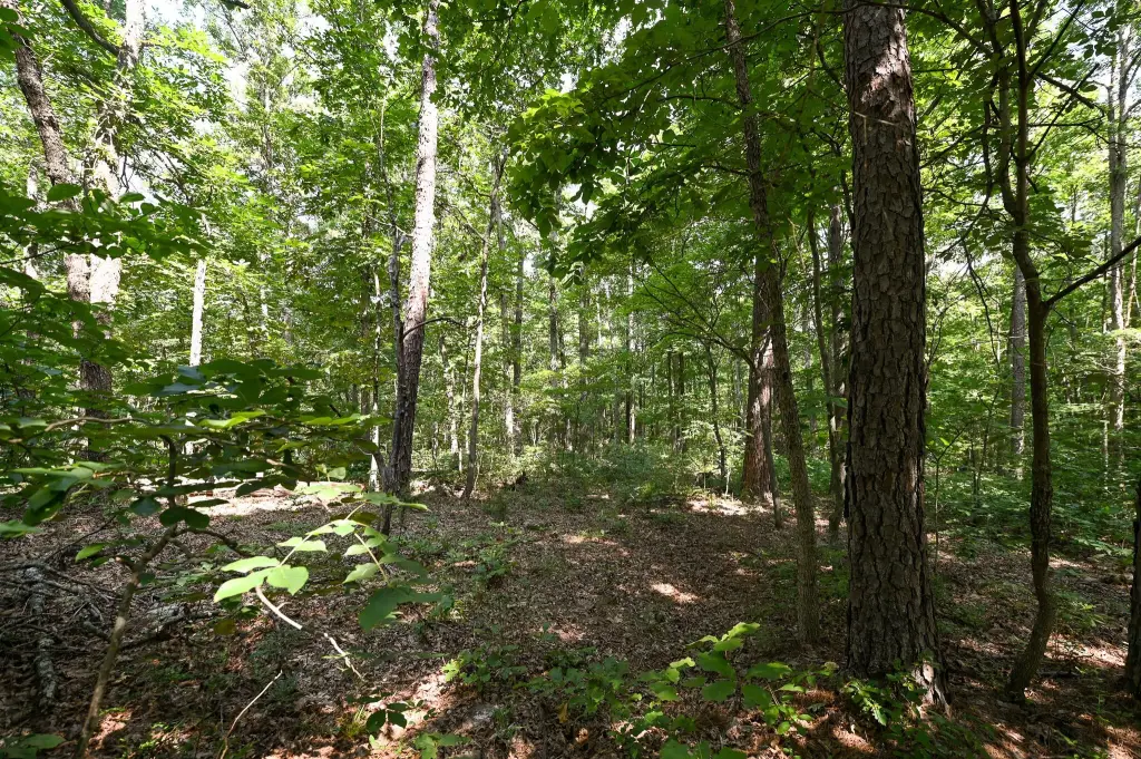 Picture 23