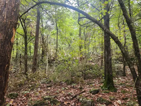 Highway-Frontage Development Land