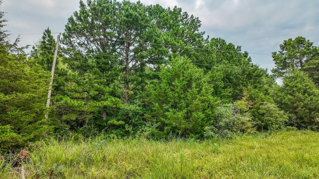 Picture 27