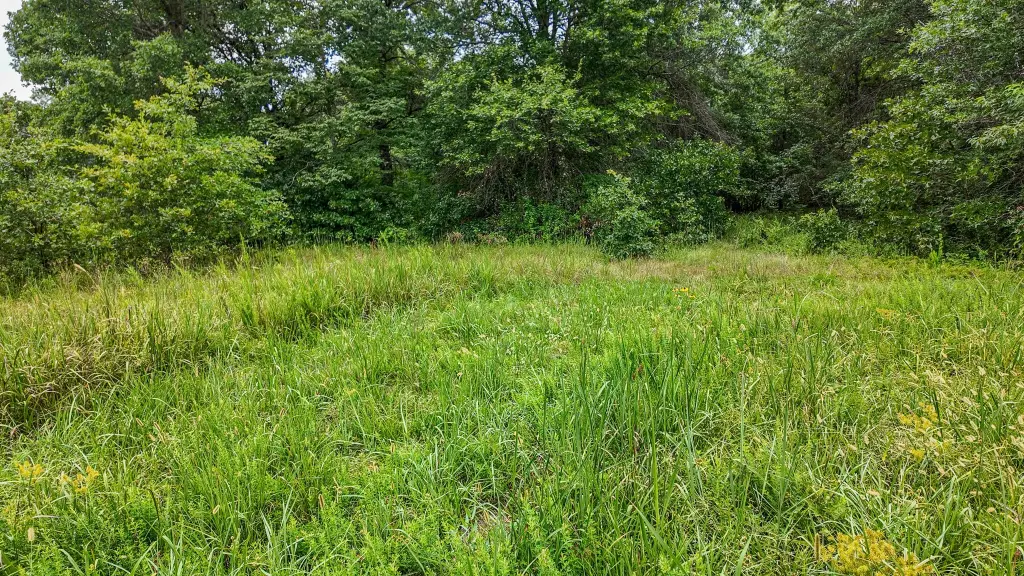 Picture 24