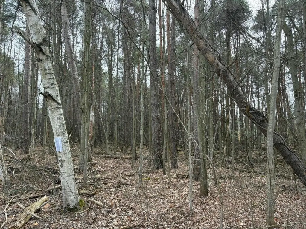 Picture 3