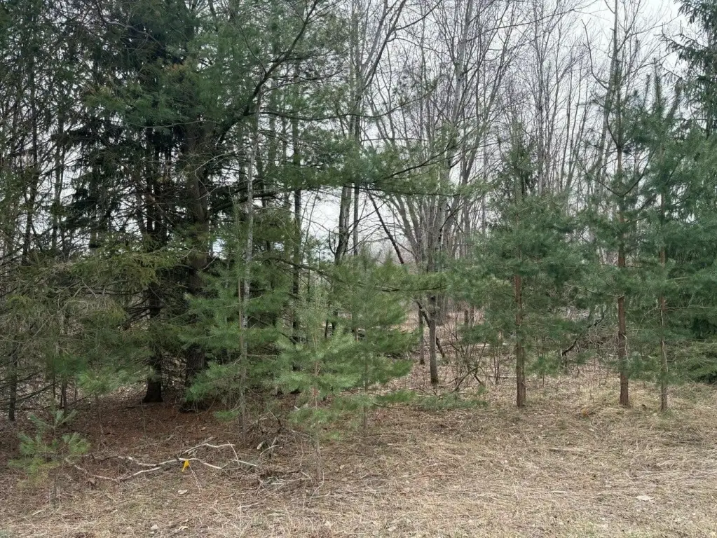 Picture 4
