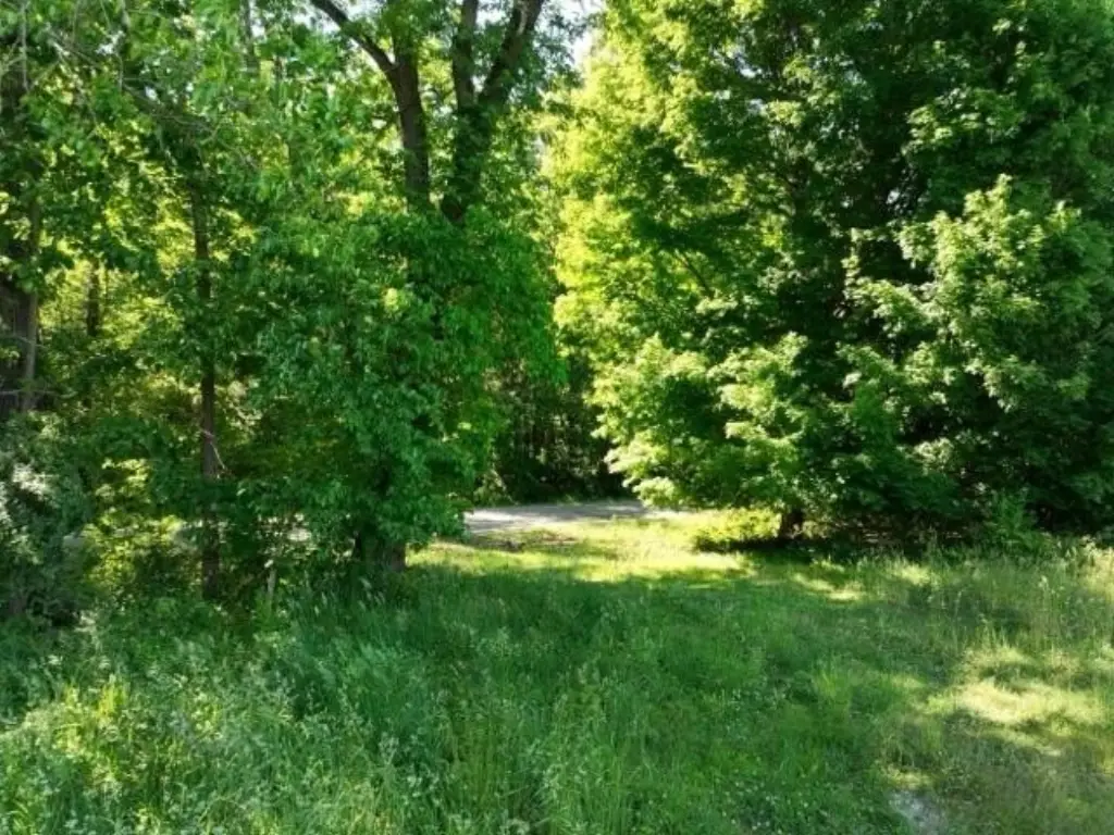 Picture 23