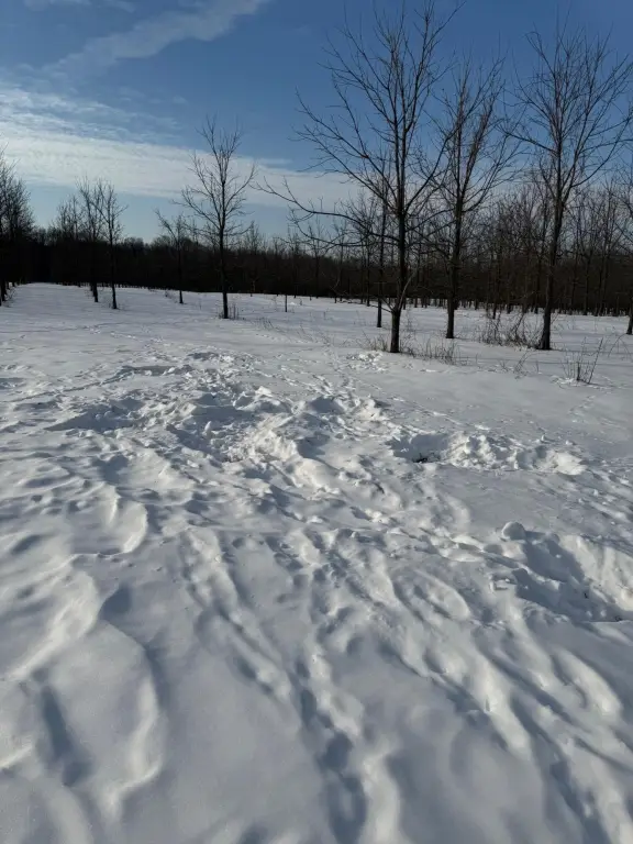 Picture 43
