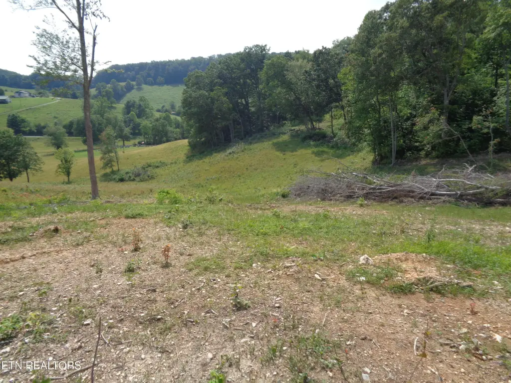 Picture 13