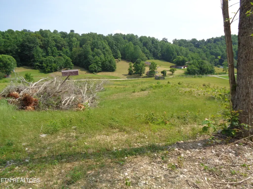 Picture 14
