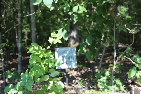 Residential Land in New Concord