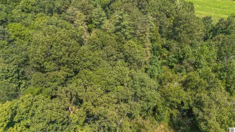 Large Hunting Land Parcel