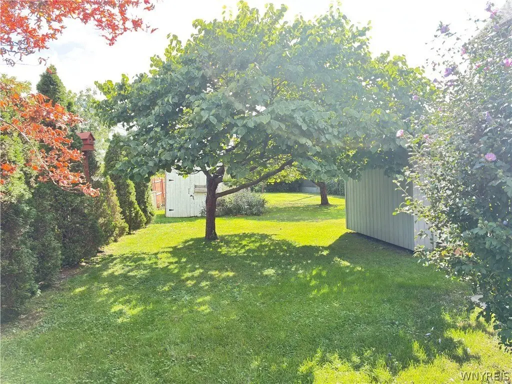 Picture 14