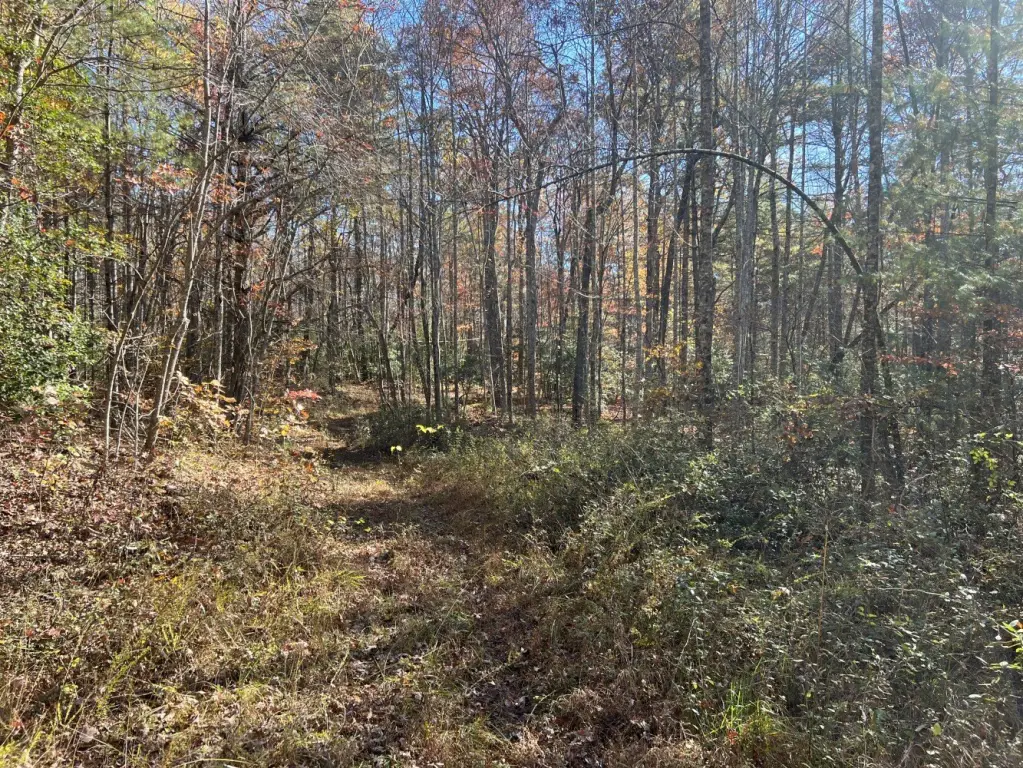 Picture 18