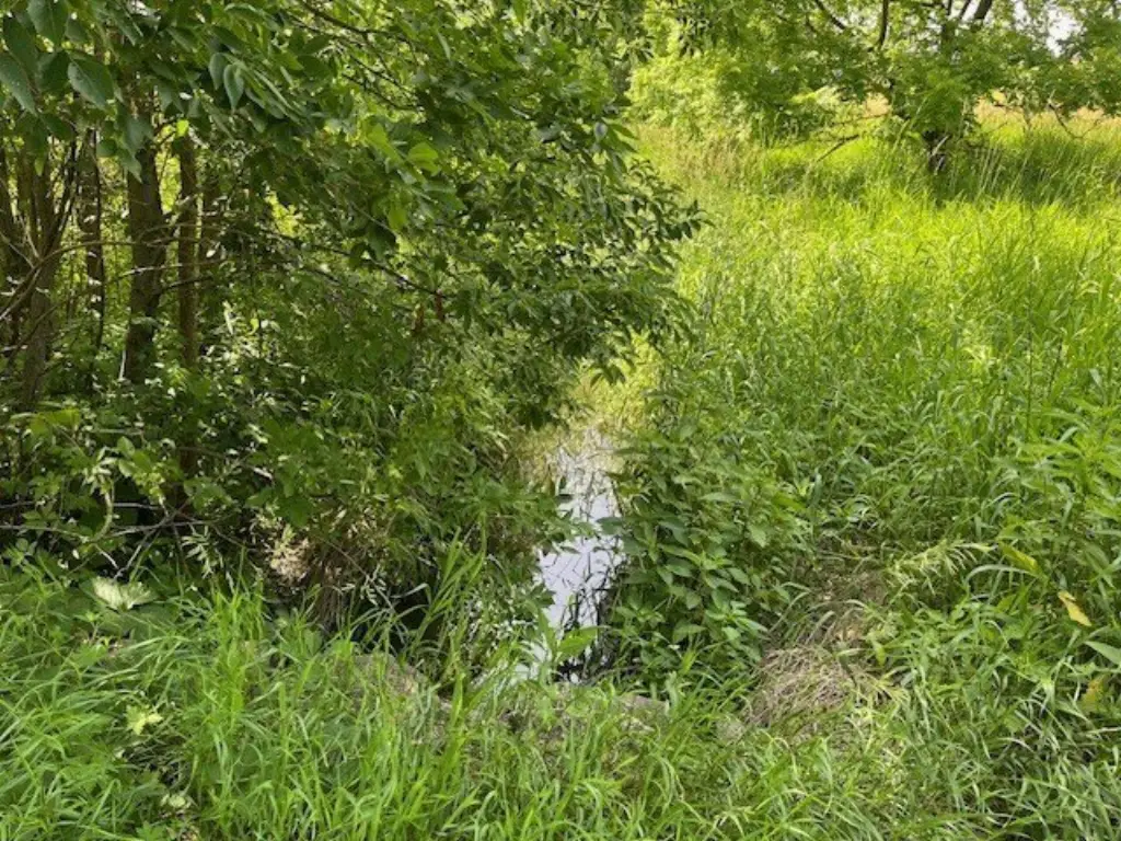 Picture 15