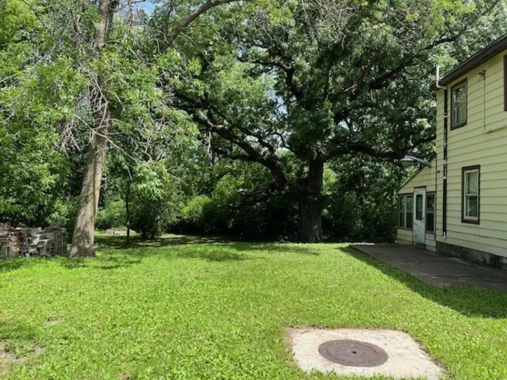 Picture 23