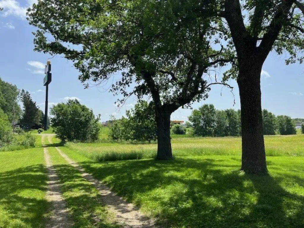 Picture 18