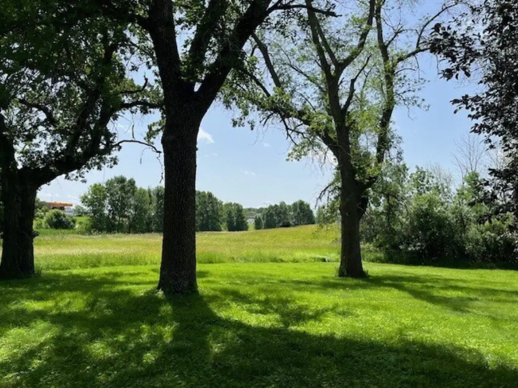 Picture 19