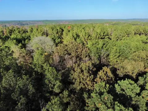 Greensboro Vacant Land Opportunity