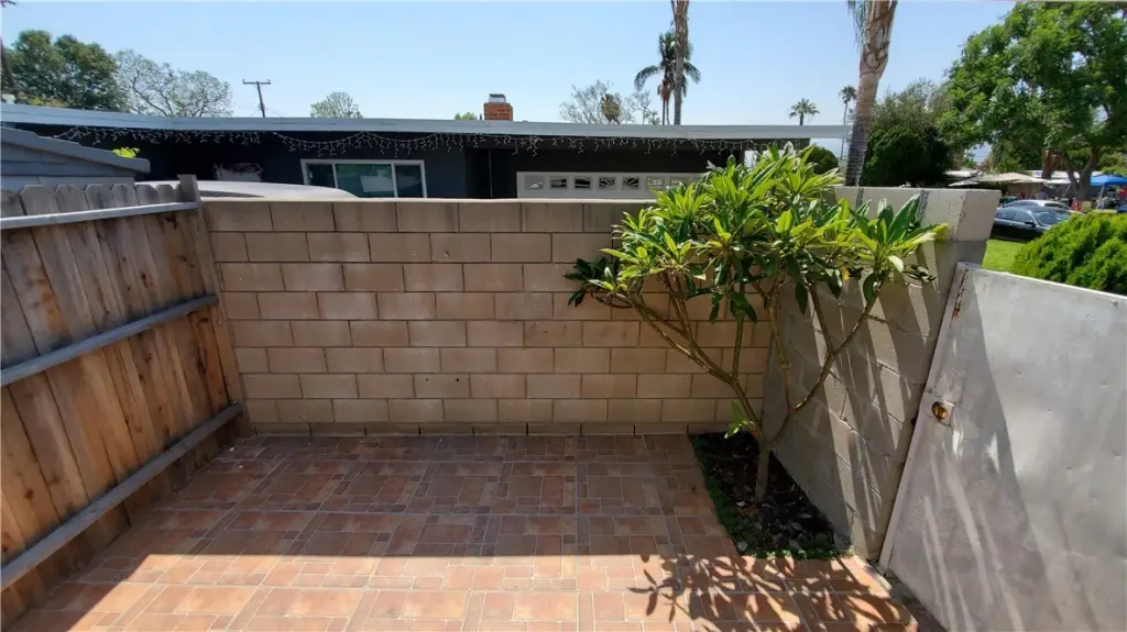 Picture 9
