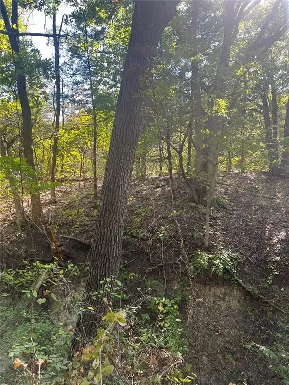 Picture 18
