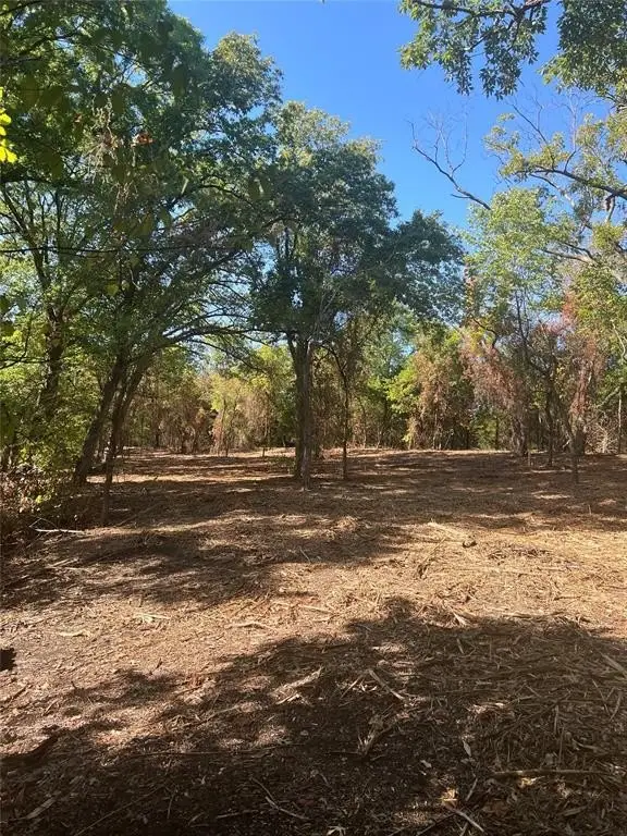 Picture 15