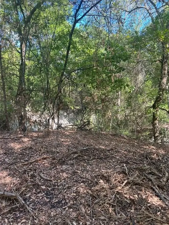 Picture 22