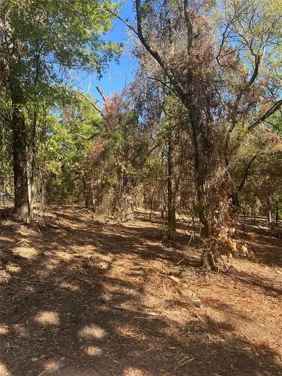 Picture 21