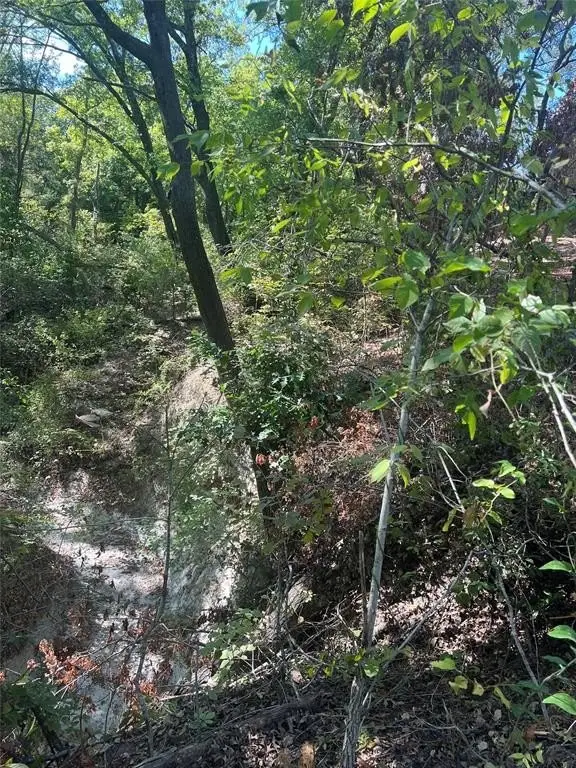 Picture 18