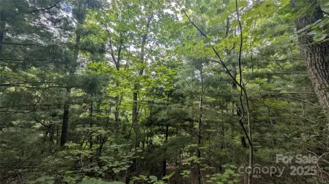 Residential Land Near Downtown Waynesville