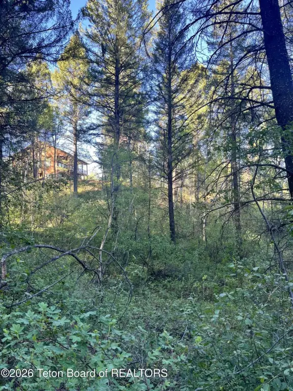 Picture 3