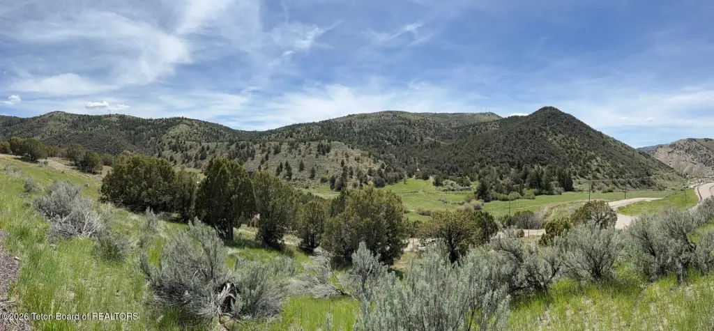 Picture 8