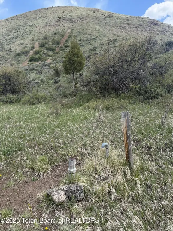 Picture 17