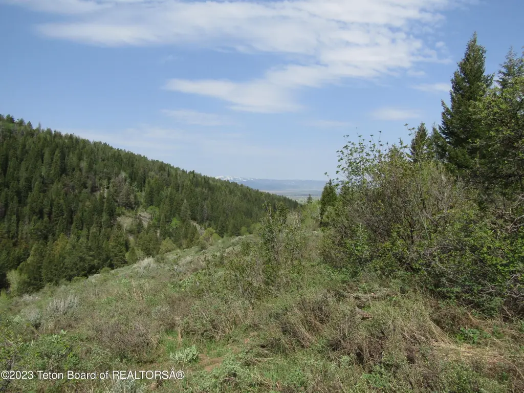 Picture 19