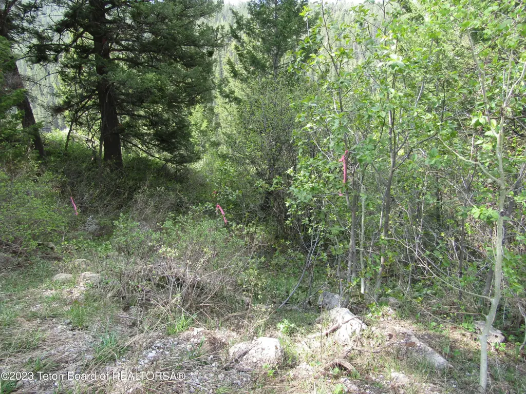 Picture 28
