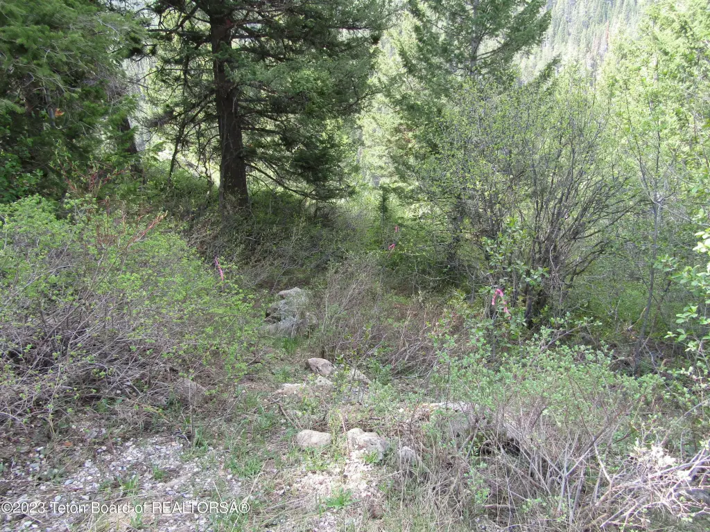 Picture 29