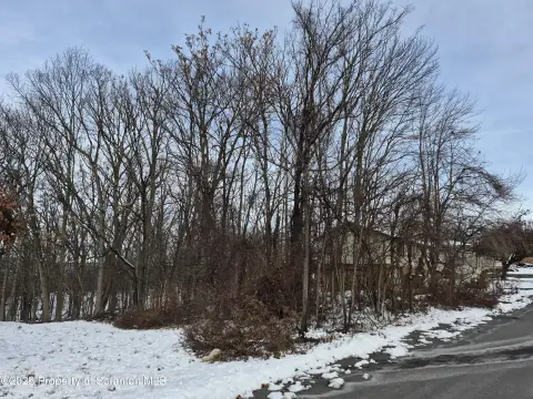 Scranton Buildable Lot Opportunity