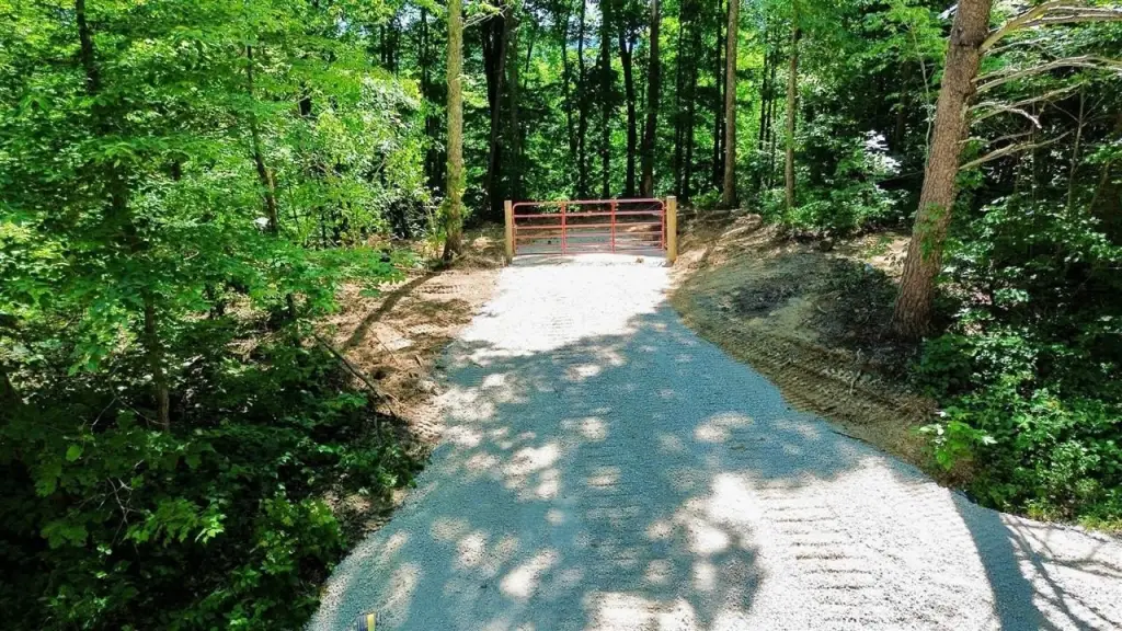 Picture 2