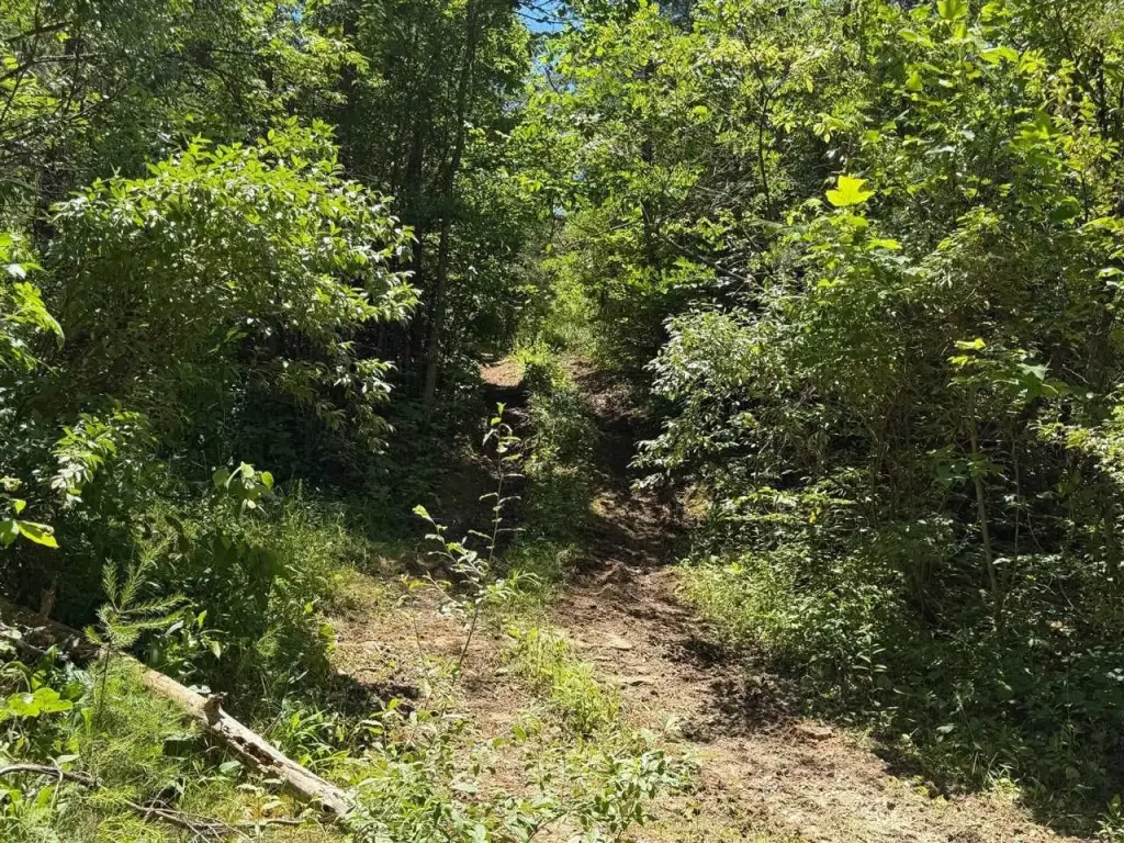Picture 38