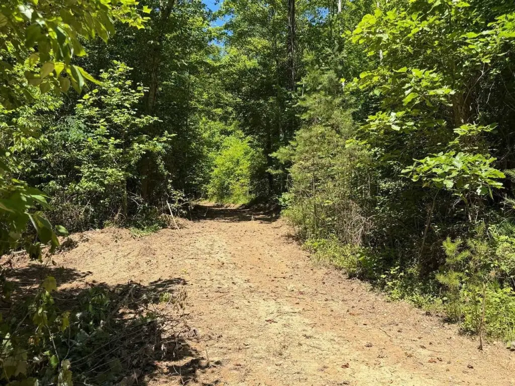 Picture 30