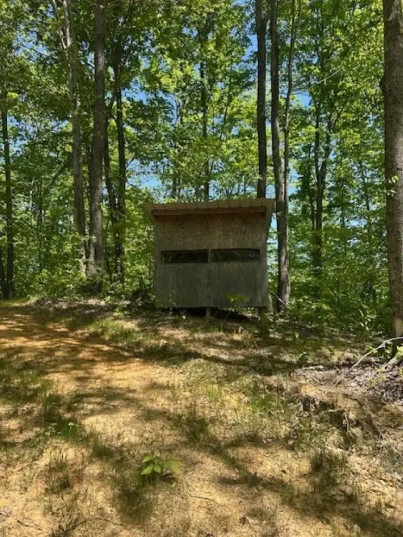 Picture 10