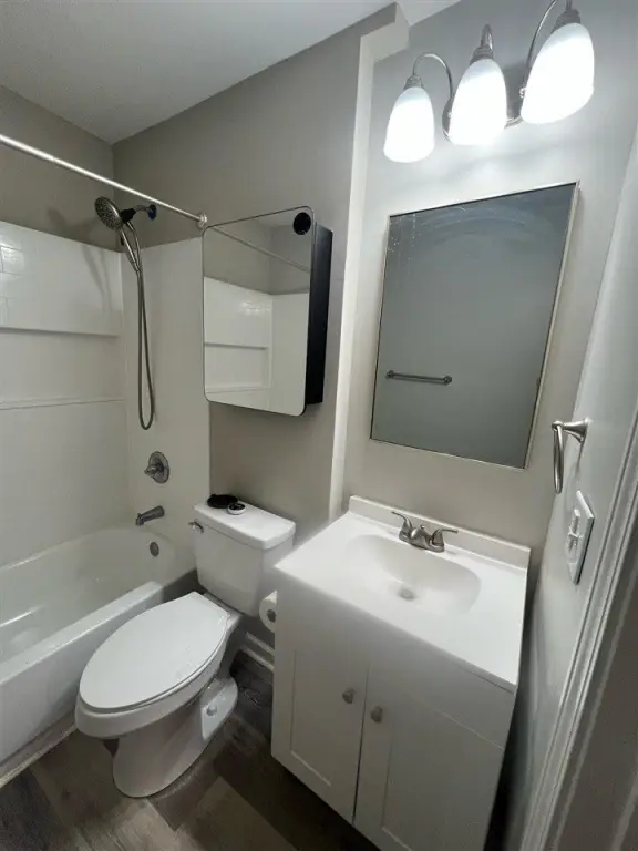 Picture 6