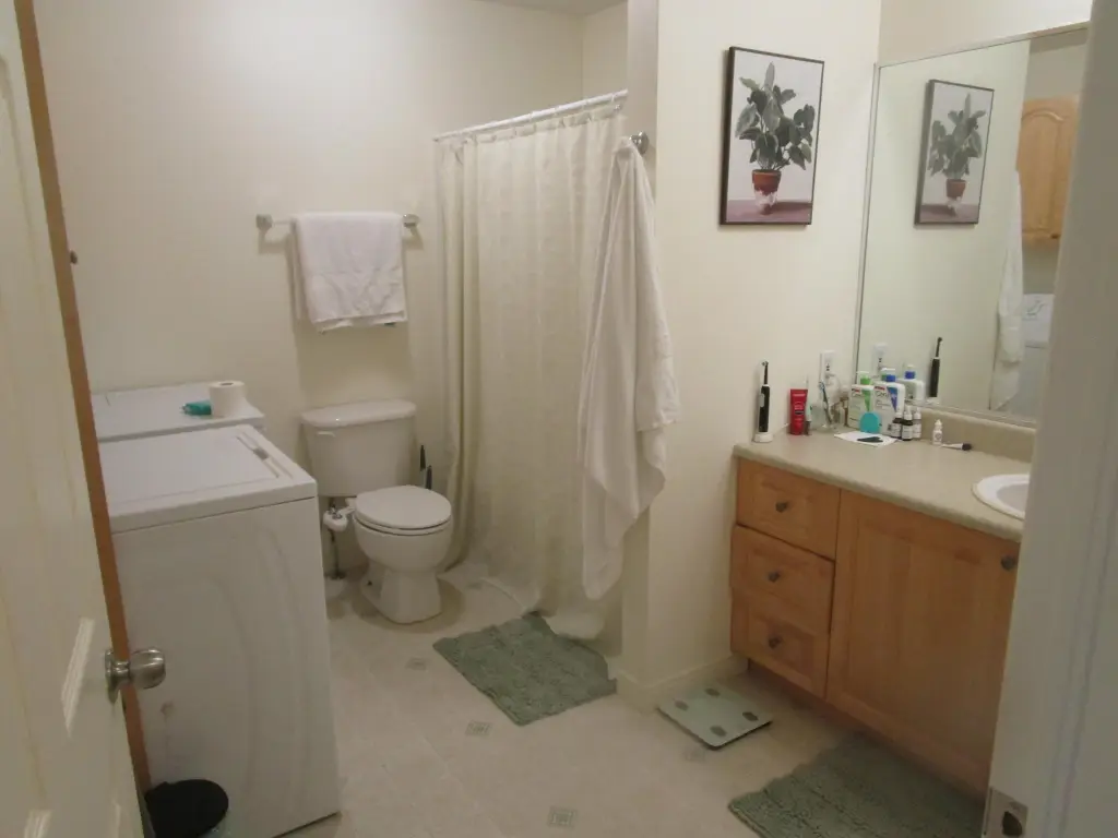 Picture 28