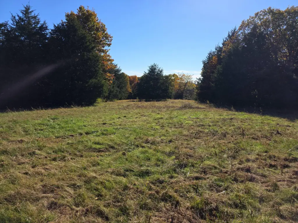 Picture 11