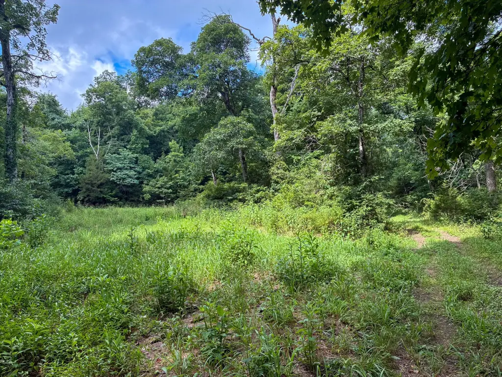 Picture 45