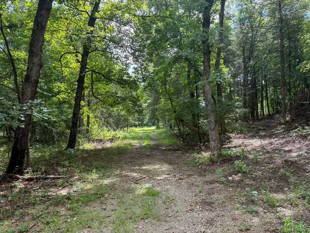 Picture 41