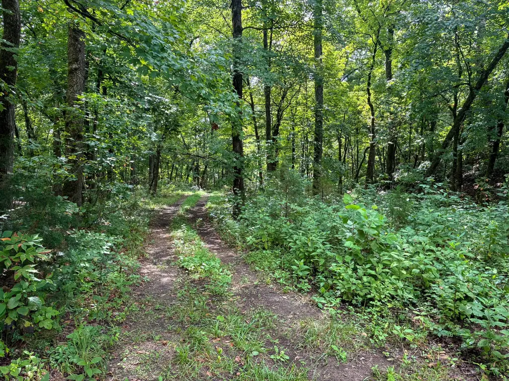 Picture 43