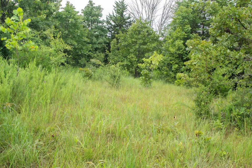 Picture 23