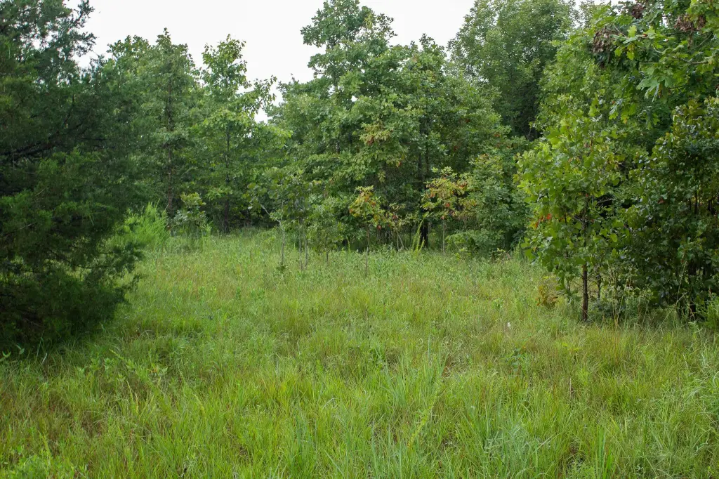 Picture 26