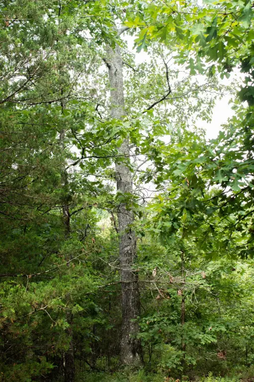 Picture 34