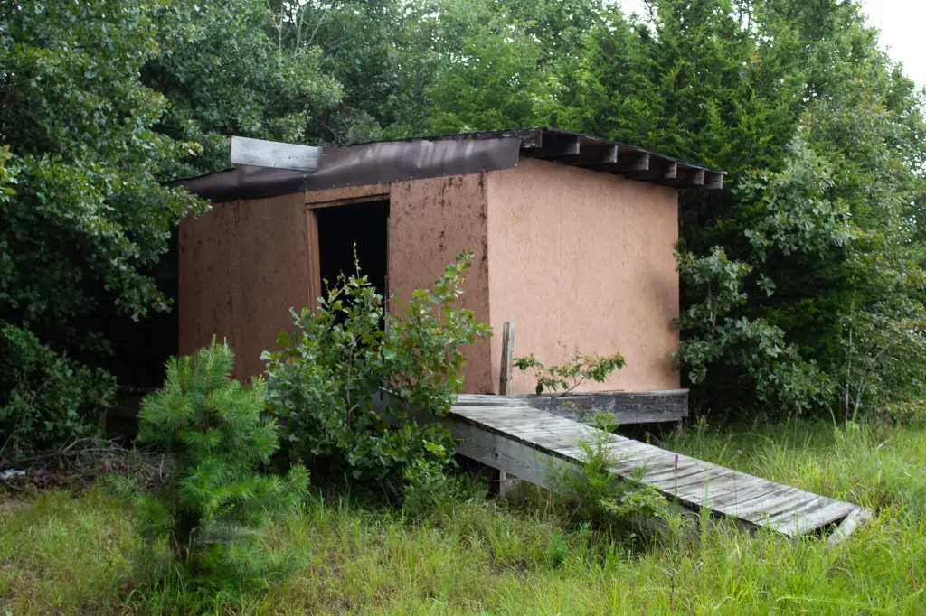 Picture 27