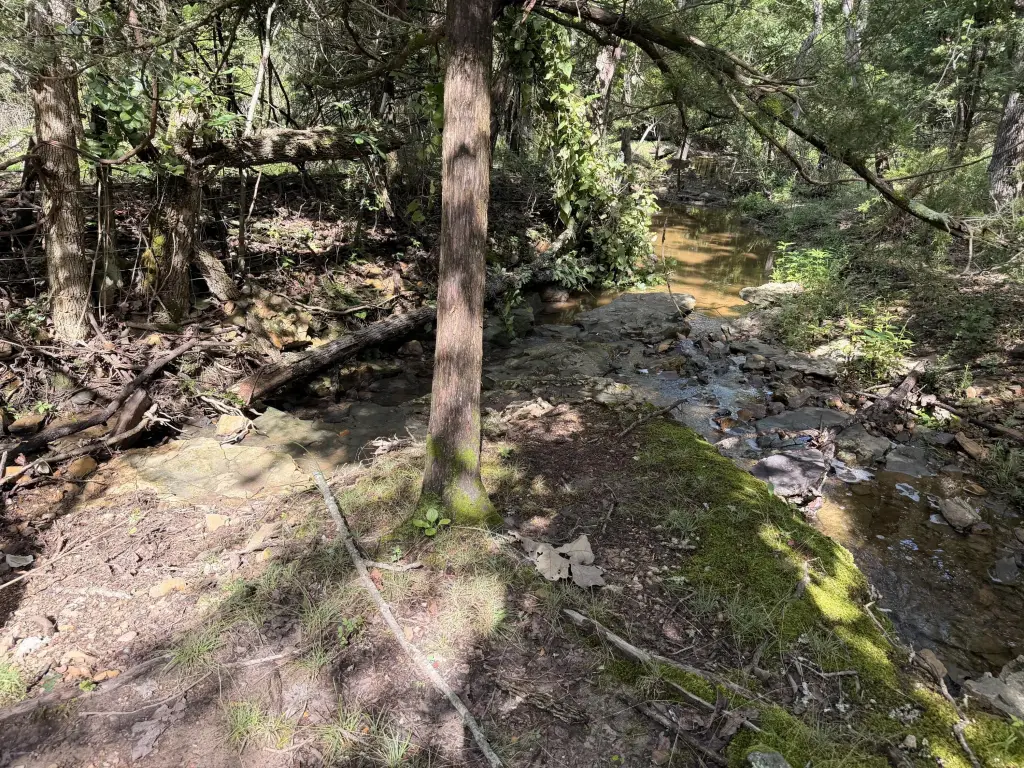 Picture 17