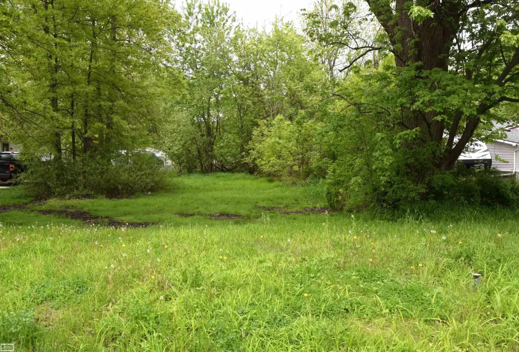 Picture 2