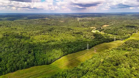 Wooded Land with Year-Round Creek